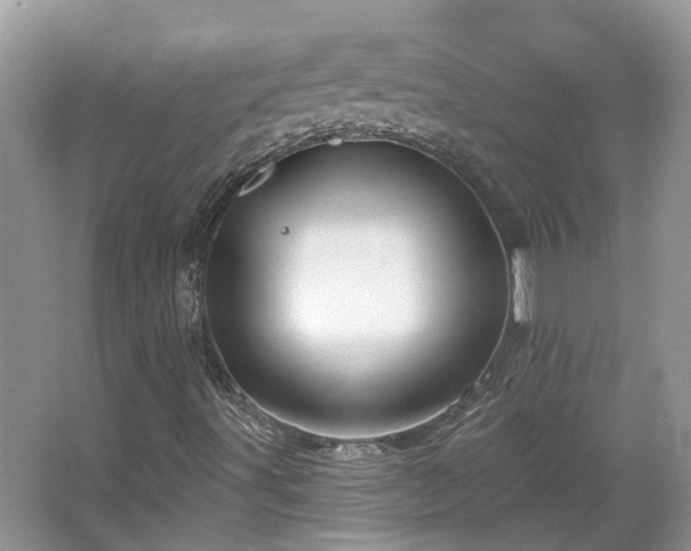 X0000067861491200604171236