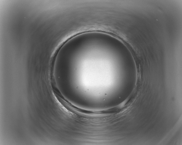 X0000067861500200604171236