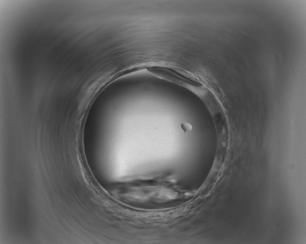 X0000067860001200604201346