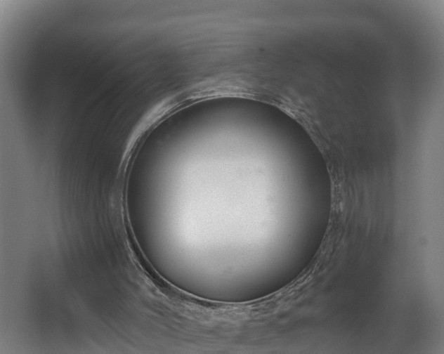 X0000067860004200604201346