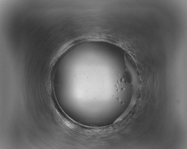 X0000067860005200604201346