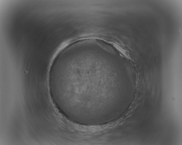 X0000067860006200604201346