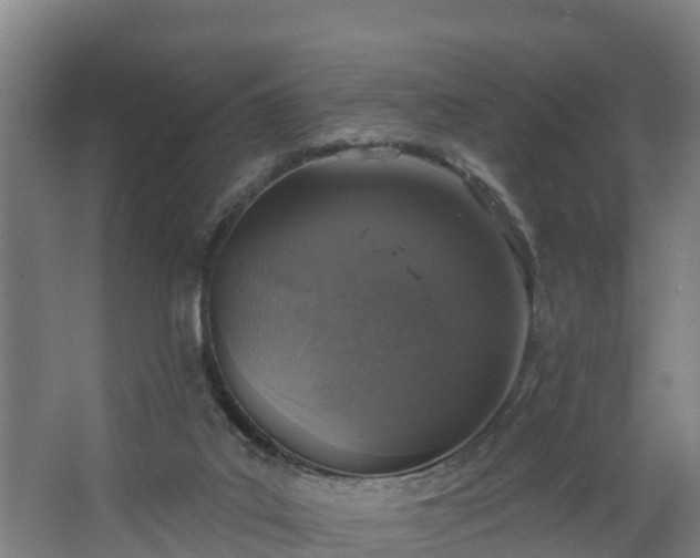 X0000067860019200604201345