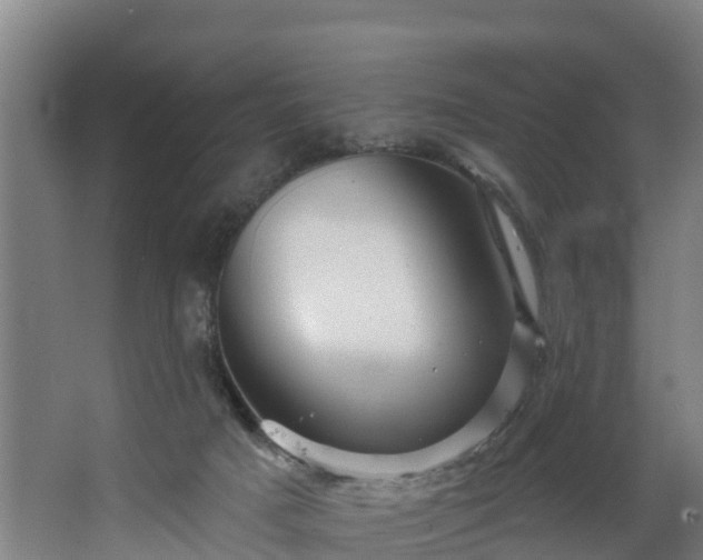 X0000067860025200604201345