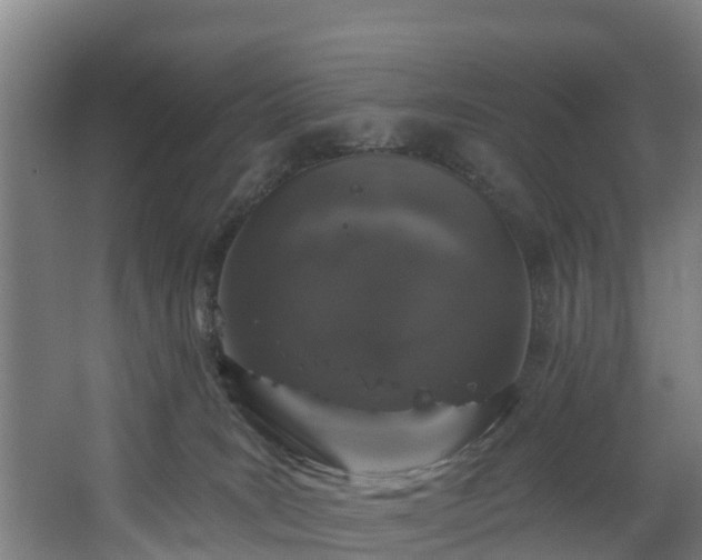 X0000067860035200604201345