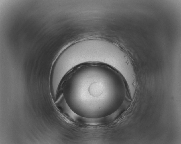 X0000067860052200604201344