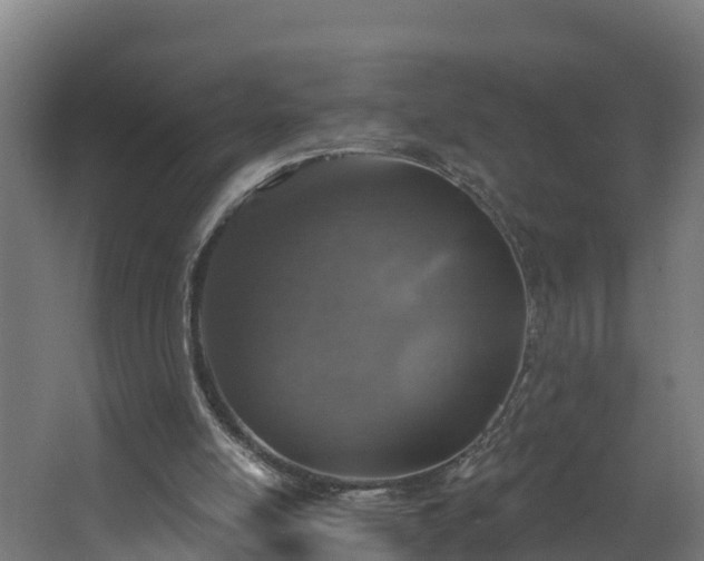 X0000067860054200604201344