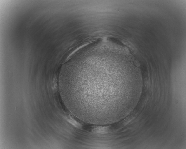 X0000067860081200604201345