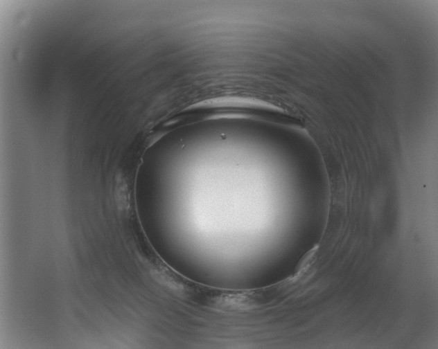 X0000067860086200604201345