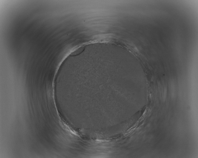 X0000067860100200604201344
