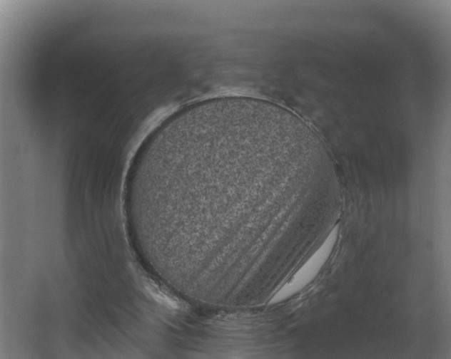 X0000067860104200604201344