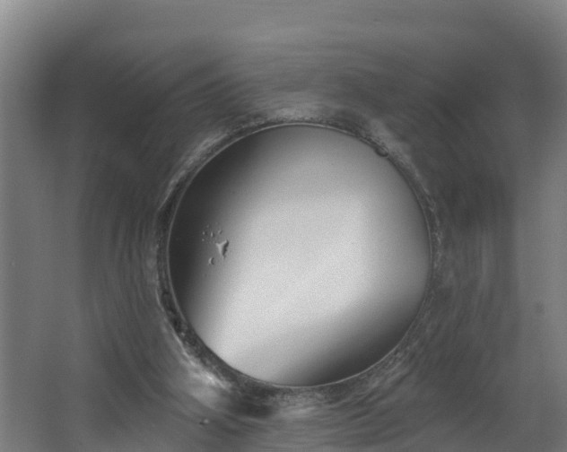 X0000067860106200604201344