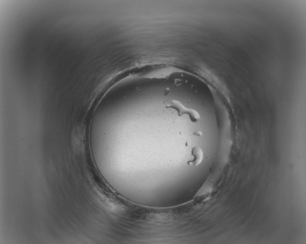 X0000067860107200604201344