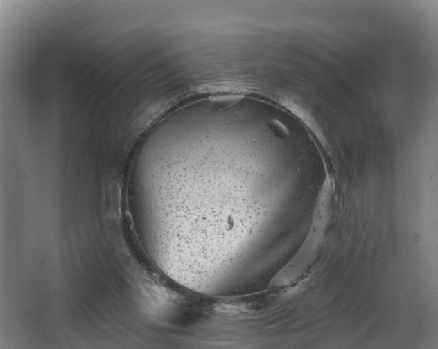 X0000067860109200604201344