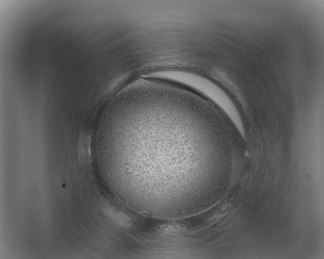 X0000067860115200604201344