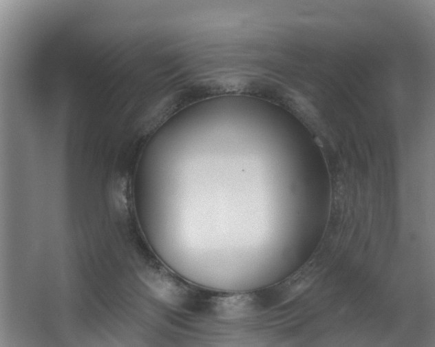 X0000067860122200604201344