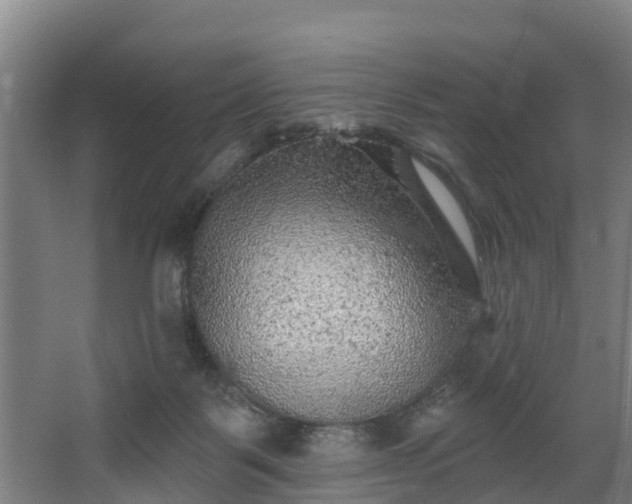 X0000067860123200604201344