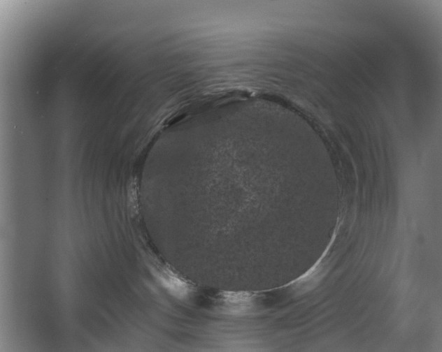 X0000067860144200604201343