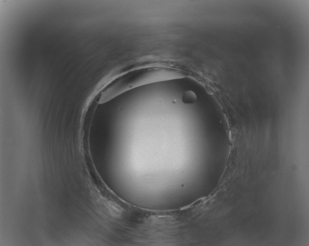 X0000067860150200604201343