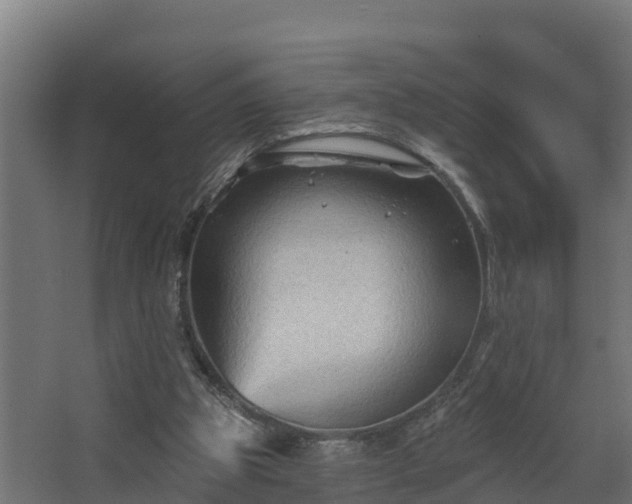 X0000067860153200604201343