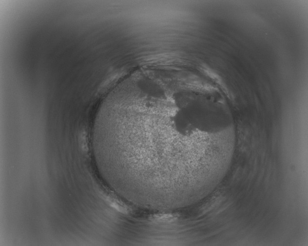 X0000067860161200604201343