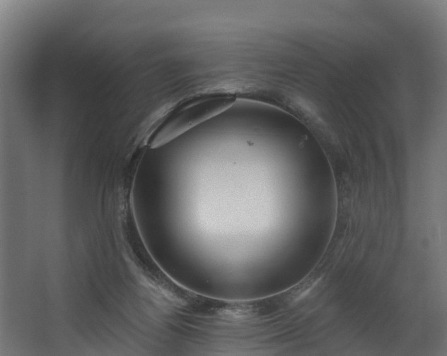X0000067860164200604201343