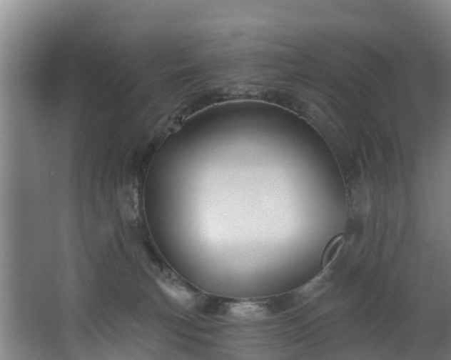 X0000067860183200604201343