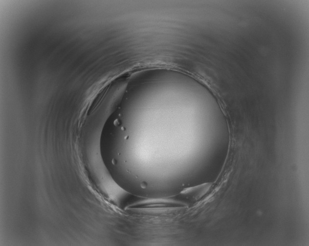 X0000067860193200604201342