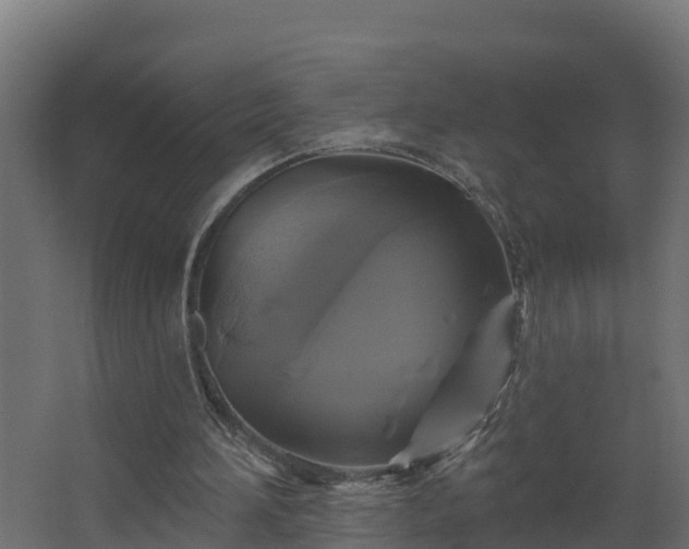 X0000067860196200604201342