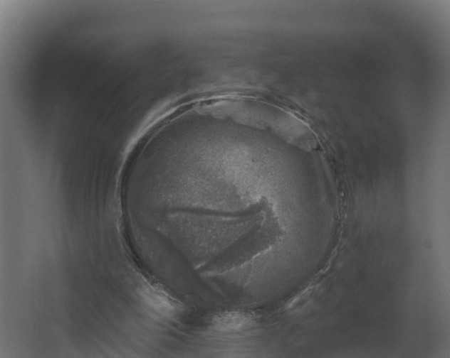 X0000067860198200604201342