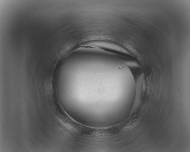 X0000067860207200604201342