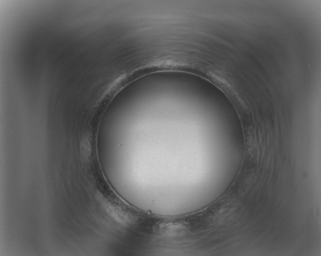 X0000067860208200604201342