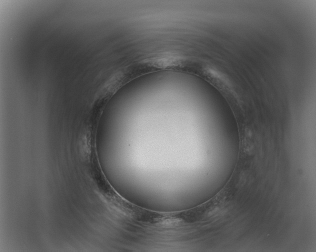 X0000067860210200604201342