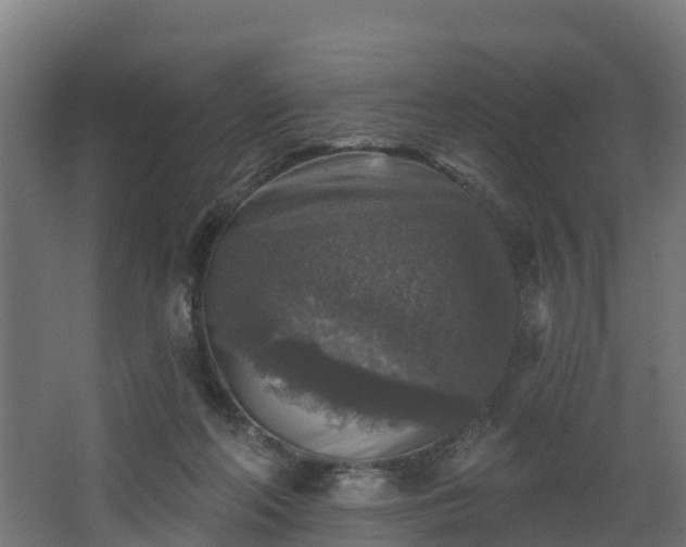 X0000067860214200604201342