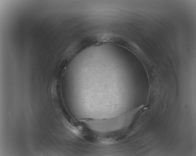 X0000067860217200604201342