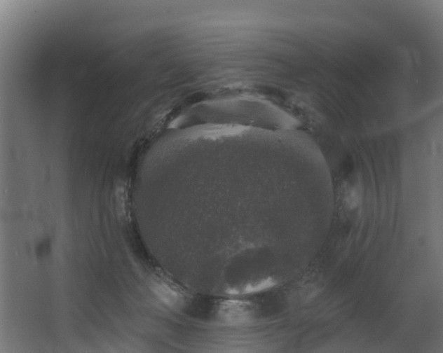 X0000067860222200604201342