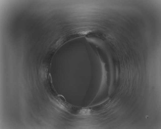 X0000067860227200604201342