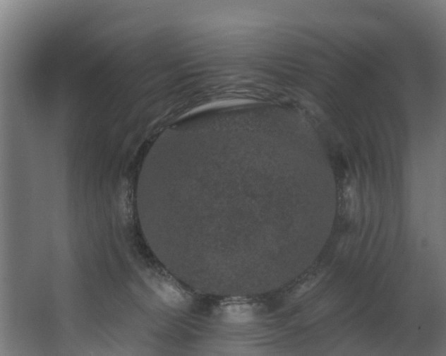 X0000067860228200604201342