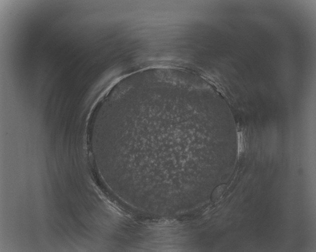 X0000067860243200604201341