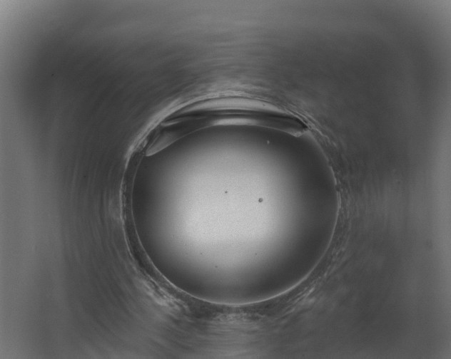 X0000067860244200604201341