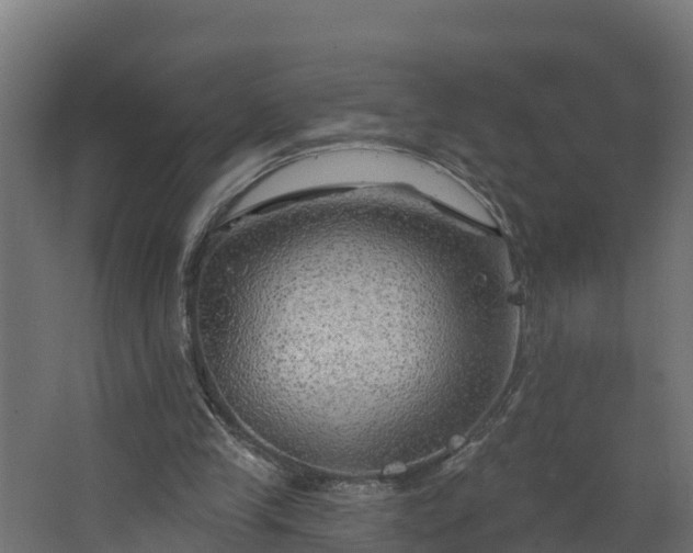 X0000067860245200604201341