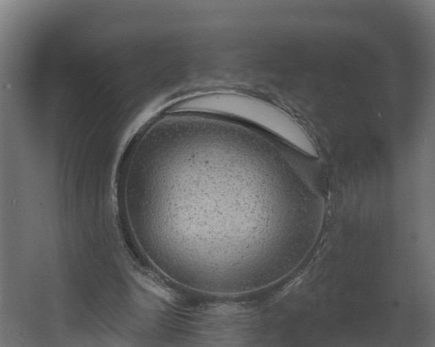 X0000067860246200604201341