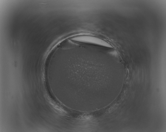X0000067860247200604201341