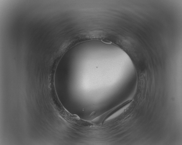 X0000067860255200604201341