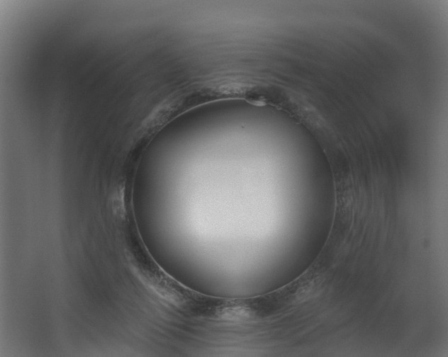 X0000067860262200604201341