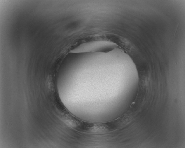 X0000067860270200604201341
