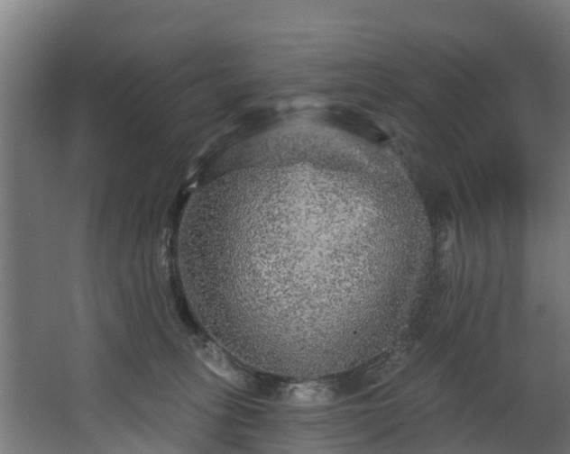 X0000067860275200604201341