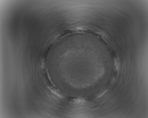X0000067860284200604201342