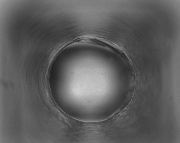 X0000067860289200604201341