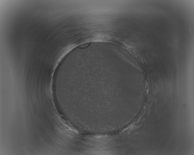 X0000067860292200604201341